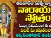ఆదివారం సాయంత్రం నారాయణ స్తోత్రం వింటే మీరు ఎక్కడుంటే అక్కడ కనకవర్షం కురుస్తుంది Narayana Stotram (2)
