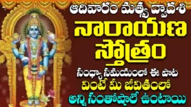 ఆదివారం సాయంత్రం నారాయణ స్తోత్రం వింటే మీరు ఎక్కడుంటే అక్కడ కనకవర్షం కురుస్తుంది Narayana Stotram (2)