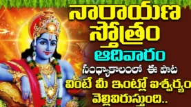 ఆదివారం సాయంత్రం నారాయణ స్తోత్రం వింటే మీరు ఎక్కడుంటే అక్కడ కనకవర్షం కురుస్తుంది Narayana Stotram