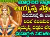 బుధవారం రోజున అయ్యప్ప స్తోత్రం వింటే ప్రతీ పనిలోనూ మీకు విజయమే Ayyappa Swamy Bhakti Songs