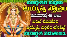 బుధవారం రోజున అయ్యప్ప స్తోత్రం వింటే ప్రతీ పనిలోనూ మీకు విజయమే Ayyappa Swamy Bhakti Songs