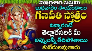 బుధవారం రోజున గణేశ స్తోత్రం వింటే అన్ని దోషాలు పోయి ఐశ్వర్యవంతులు అవుతారు Ganesha Stotram ShriTv