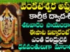శనివారం రోజున వెంకటేశ్వర అష్టకం వింటే అష్టైశ్వర్యాలు పొందుతారు Lord Venkateswara Ashtakam