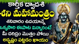 శనేశ్వర మంత్రం మీకు పట్టిన 12 ఏళ్ల శని విడిచిపోతుంది మీకున్న శని మొత్తం పోతుంది Shani dev mantra